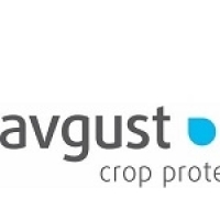 Август